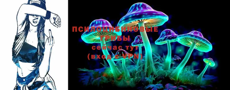 Псилоцибиновые грибы Psilocybine cubensis Краснозаводск